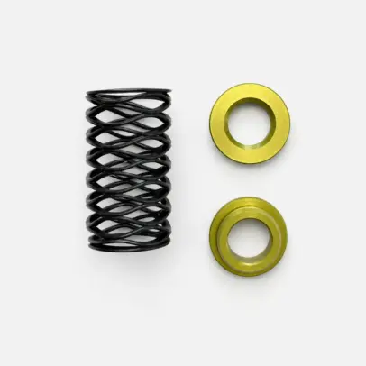 Skeleton Air Regulator Wave Spring Kit - EMEK / ETHA / CS1 / CS2 / GEO / GTEK